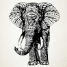 Elefante