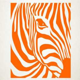 Zebra 2