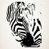 Zebër