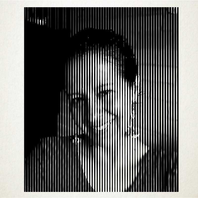 Los retratos en vinilo son una novedosa manera de decorar. Retrato en Vinilo Adhesivo de alta calidad