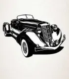 Coches